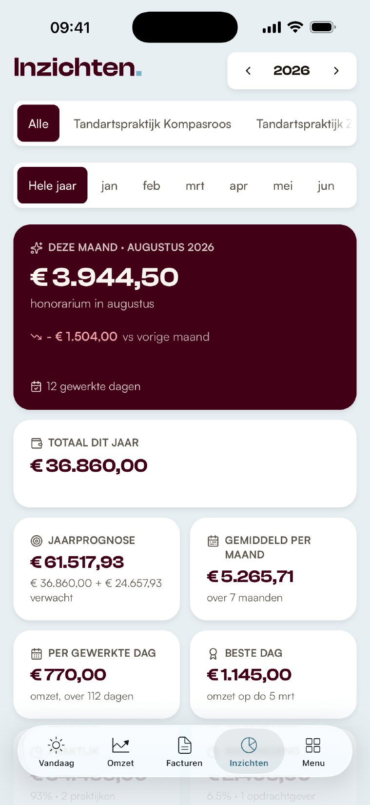 Het Inzichten-scherm met honorarium, jaartotaal en jaarprognose